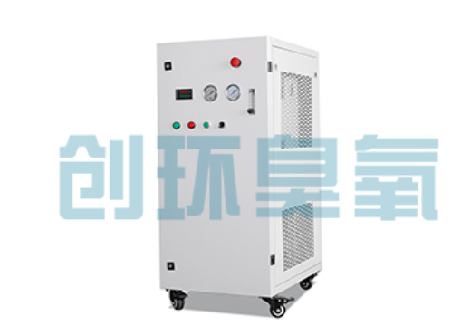 嘉兴石斑鱼养殖水质调控完整指南：臭氧发生器配置与操作步骤
