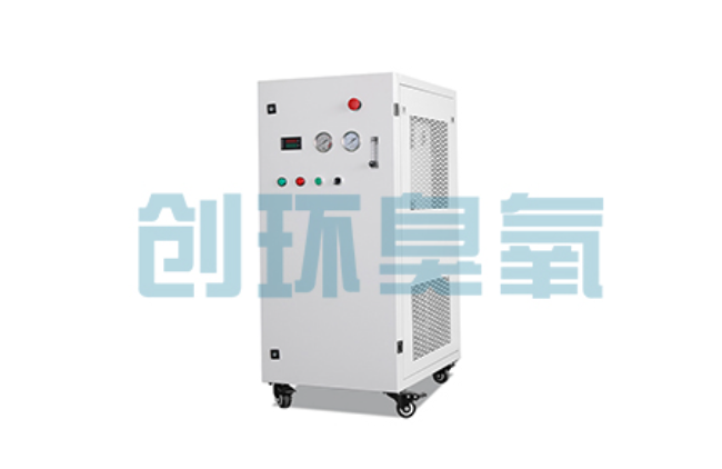 嘉兴比传统换水更高效？臭氧发生器在石斑鱼养殖中的水质净化原理解析
