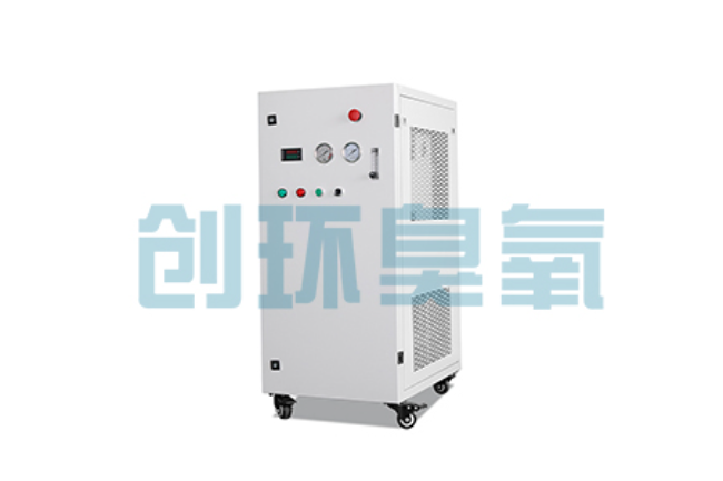 嘉兴比传统换水更高效?臭氧发生器在石斑鱼养殖中的水质净化原理解析